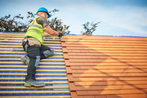 Best Cold Roofs  in Lake Orion, MI
